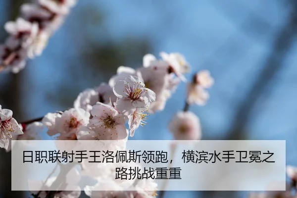 ri-zhi-lian-she-shou-wang-luo-pei-si-ling-pao-heng-bin-shui-shou-wei-mian-zhi-lu-tiao-zhan-chong-chong-3-414.jpg
