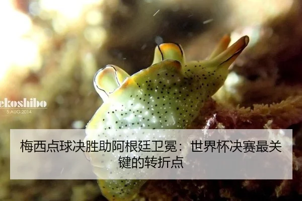 梅西点球决胜助阿根廷卫冕：世界杯决赛最关键的转折点