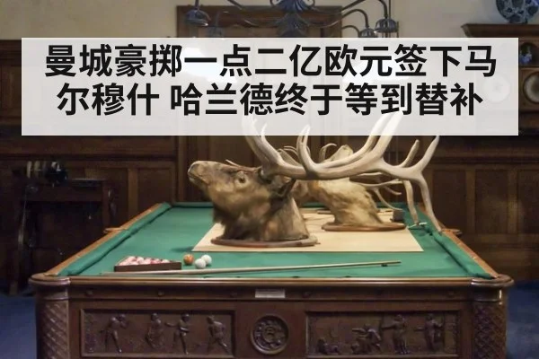 曼城豪掷一点二亿欧元签下马尔穆什 哈兰德终于等到替补